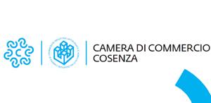 Logo Camera di Commercio