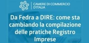 Webinar su DIRE 2021