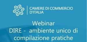 Webinar DIRE 17 dicembre 2021 ore 15-17
