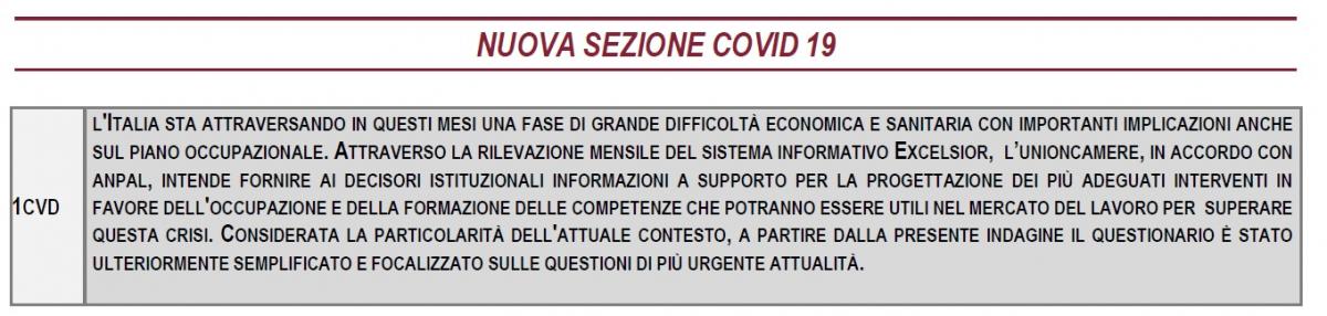 rappresentazione della nuova sezione Covid inserita nel questionario